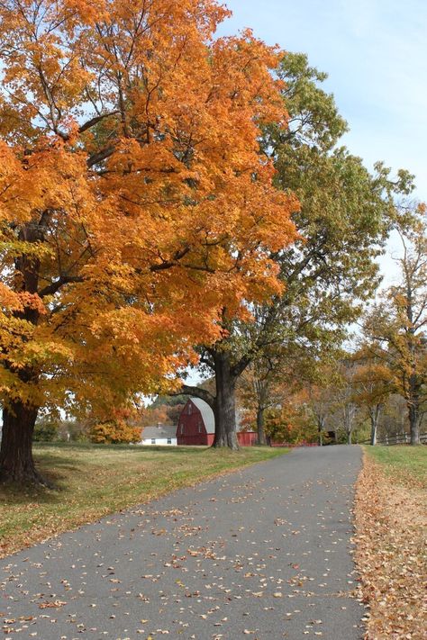 Connecticut Aesthetic, Romanticizing Fall, Fall In Connecticut, Hygge Autumn, Cozy Fall Aesthetic, New England Aesthetic, Studera Motivation, Herbst Bucket List, Fall Nature