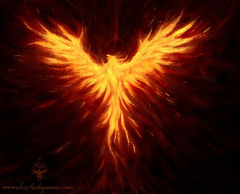 Phoenix Painting, Fenix Tattoo, Phoenix Wings, Phoenix Wallpaper, Phoenix Bird Tattoos, Phoenix Artwork, Phoenix Tattoos, Dragon Hunters, Phoenix Tattoo Design