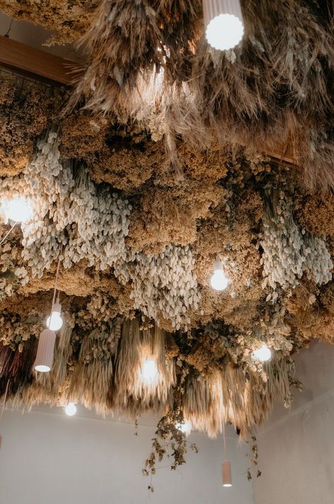 Dried Flower Ceiling Arrangements, Dried Flowers Restaurant, Dried Floral Ceiling Installation, Hanging Flower Display, Dried Flower Ceiling Installation, Dry Flower Installation, Dried Flowers Ceiling, Ceiling Flower Decoration, Dried Flower Ceiling