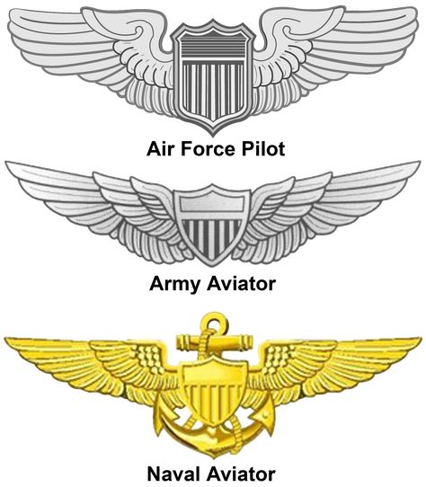 US - Aviation Wings Military Emblems, Wings Clipart, Pilot Wings, Military Awards, Naval Aviator, Military Images, Military Ranks, Air Force Pilot, Badge Template