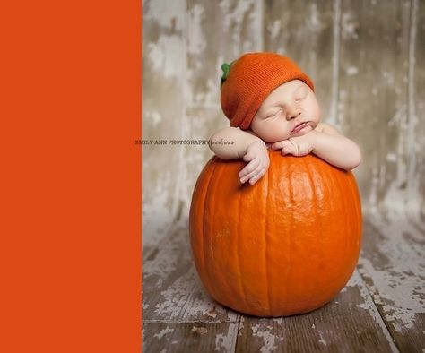 <b>It's Autumn! Time to stick your baby in a pumpkin!</b> But the question is, are any of them named Jack? Fall Newborn Pictures, Fall Baby Photos, Baby Pumpkin Hat, Fall Baby Pictures, Foto Newborn, Newborn Halloween, Pumpkin Pictures, Baby Fotografie, October Baby