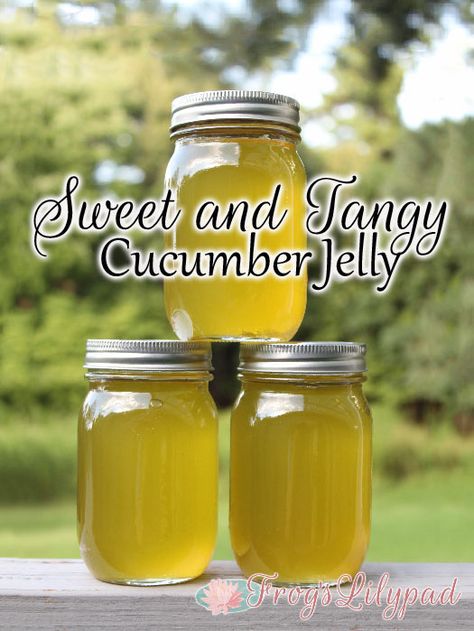 Cucumber Jelly Recipe, Cucumber Jelly, Muscadine Jelly, Cucumber Uses, Canning Jam Recipes, Peach Jelly, Hot Pepper Jelly, Jam Recipes Homemade, Canning Jam