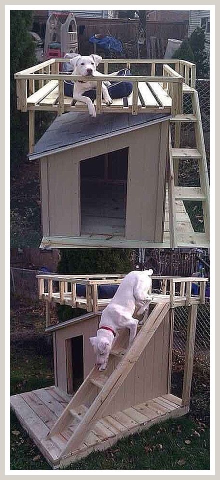 Dog House - Great! - Get your tips from the online store - Amazon.com Dog House Plans Insulated, Cheap Dog Houses, Cheap Dog Kennels, Family Friendly Dogs, Puppy Obedience Training, Dog House Plans, Positive Dog Training, Dog Pool, Dog Clothes Diy