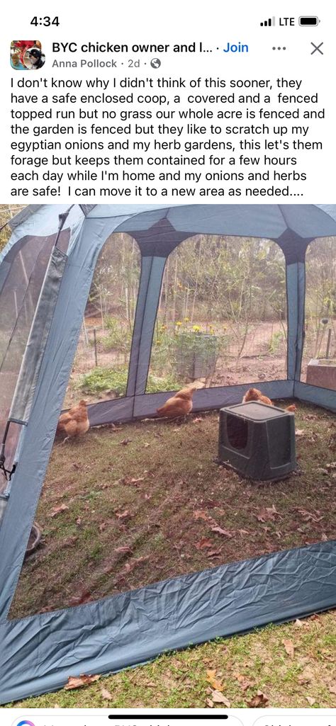 Turkey Coop Ideas, Quail Enclosure Ideas, Chicken Boredom, Pallet Coop, Pasture Shelter, Easy Diy Chicken Coop, Farm Hacks, Chicken Care, Backyard Chicken Farming