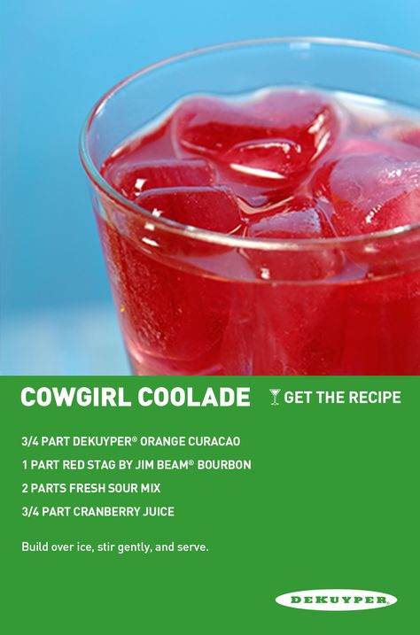 Everyone has a little cowgirl in them ;) #cocktail #recipe Cowgirl Cocktail, Organic Drinks, Fruity Wine, Ice Cream Drinks, Candy Drinks, Fancy Drinks, Mixed Drinks Recipes, Homemade Drinks, Drink Recipe