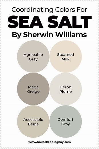 sherwin-williams sea salt pallet paint color names - Search Images Sherwin Williams Sea Salt Color Scheme, Sea Salt Living Room Walls, Sea Salt Office, Sw Sea Salt Color Palette, Sea Salt Coordinating Colors, Sherwin Williams Sea Salt Palette, Sherwin Williams Sea Salt, Sw Sea Salt, Sea Salt Sherwin Williams