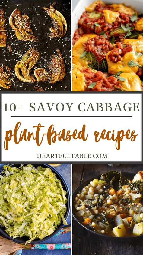 Savoy Cabbage Recipes, Cabbage Side Dish, Cabbage Varieties, Vegan Egg Replacement, Vegan Chorizo, Cabbage Casserole, Savoy Cabbage, White Bean Soup, Gluten Free Grains