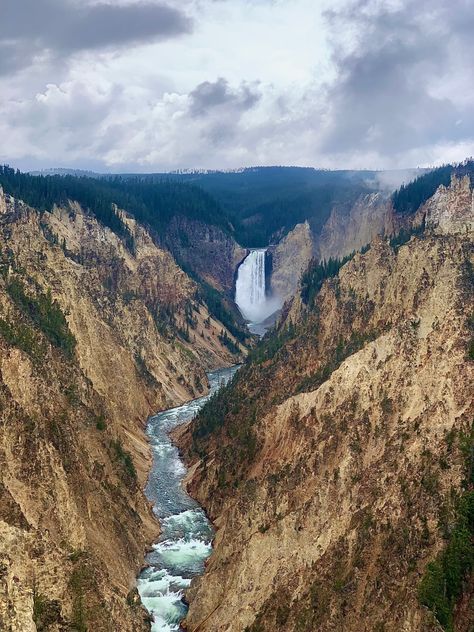 Grand Canyon National Park, Wyoming Grand Canyon National Park, Yellowstone National Park, Travel Diary, Wyoming, Grand Canyon, Adventure Travel, National Park, Travel Photography, National Parks