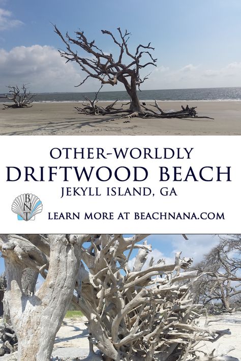 A trip to the Georgia coast must include a visit to Jekyll Island's Driftwood Beach. Find out where to camp and all the great things to do on Jekyll Island! Driftwood Beach Jekyll Island, Jekyll Island Georgia, Georgia Coast, Georgia Vacation, Edge Of The World, Driftwood Beach, Georgia Travel, Jekyll Island, Tybee Island