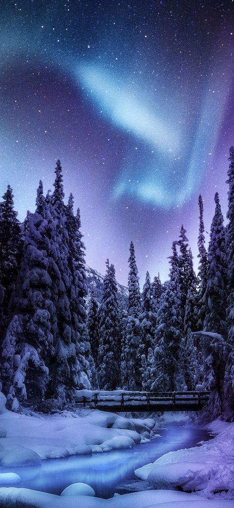 Winter Northern Lights, Northern Lights Wallpaper, Lights Trees, River Bridge, Aurora Borealis Northern Lights, Winter Wallpaper, Winter Scenery, 4k Wallpaper, Beautiful Landscape Wallpaper