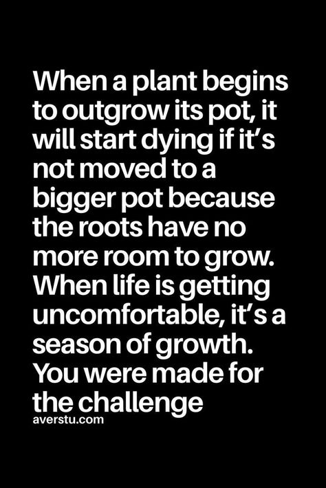 When life is getting uncomfortable, it's a season of growth. You were made for the..Challenge. Hopeful Quotes, A Drop In The Ocean, Control Your Emotions, Inspirational Life Quotes, Hope Quotes, It Goes On, Great Quotes, Inspirational Words, Cool Words