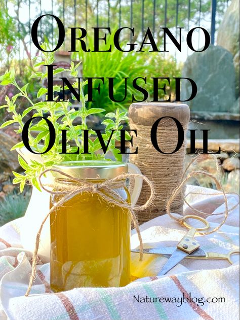 Herbal Oil Recipes, Infused Oil Recipes, Olive Oil Uses, Herb Infused Olive Oil, Oregano Recipes, Olive Oil Recipes, Making Essential Oils, Oregano Oil, Herb Recipes