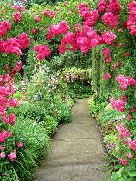 Pathway 3 by Alienesse-Stock Flower Garden Pictures, Garden Background, Beautiful Flowers Photos, Most Beautiful Gardens, Garden Pictures, Beautiful Flowers Garden, Beautiful Flowers Wallpapers, Romantic Garden, Beautiful Landscape Wallpaper