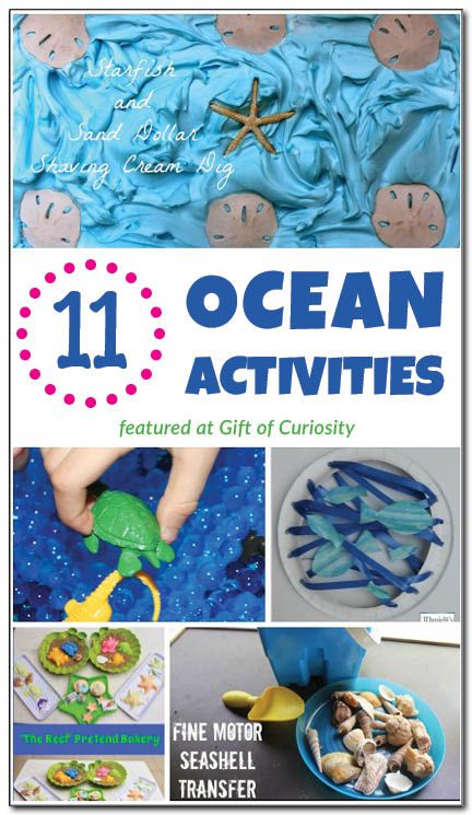 11 ocean activities for kids {Weekly Kids' Co-op} Ocean Fine Motor, Ocean Activities For Kids, Ocean Sensory Play, Ocean Printables, Rain Stick Crafts, Fine Motor Play, Ocean Sensory, Ocean Theme Preschool, Ocean Books