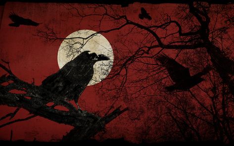 RaVen I by RadVisual.deviantart.com on @DeviantArt Crows, Moon, Red, Black