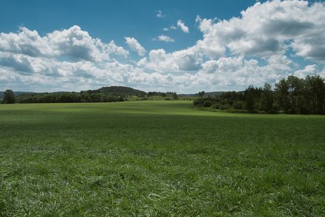 The Peaceful Plains of West Winfield NY [OC] [4896x3264] #nature #beauty Plain Landscape, Plains Landscape, Earth Photo, Diorama Ideas, Earth Photos, Type Shi, Nature Scenery, Great Plains, Landscape Nature