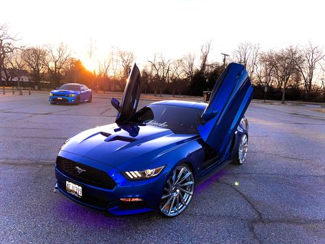 Mustang on 24s with Lambo Doors Equals More Whores 🤣 Real Estate Information, Car Projects, Ford Motor, Business Advice, Information Technology, Car Audio, Mustang, Bmw Car, Sports Car