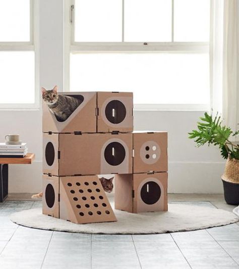 Trop de cartons à la maison ? Faites-en des aires de jeu pour chat ! Cat Tree Plans, Chat Diy, Several Cat, Cat Castle, Cat Houses Indoor, Diy Cat Tree, Tree Plan, Cat House Diy, Cat Playground