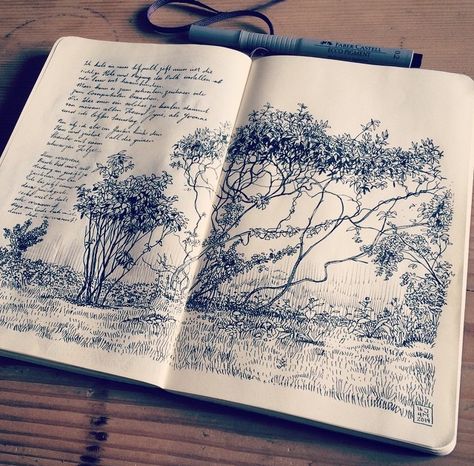 Illustration Garden Sketch, Illustrated Journal, Moleskine Journal, Art Notebook, Moleskine Sketchbook, Arte Sketchbook, Sketchbook Journaling, A Pen, Sketchbook Inspiration