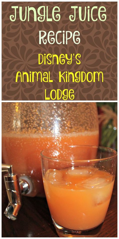 Jungle Juice - Favorite Beverage from Disney World's Animal Kingdom Lodge Pog Juice, Jungle Juice Recipe, Disney Inspired Recipes, Disney Dishes, Disney Inspired Food, Disney Animal Kingdom Lodge, Easy Juice Recipes, Disney Animal Kingdom, Disney Drinks