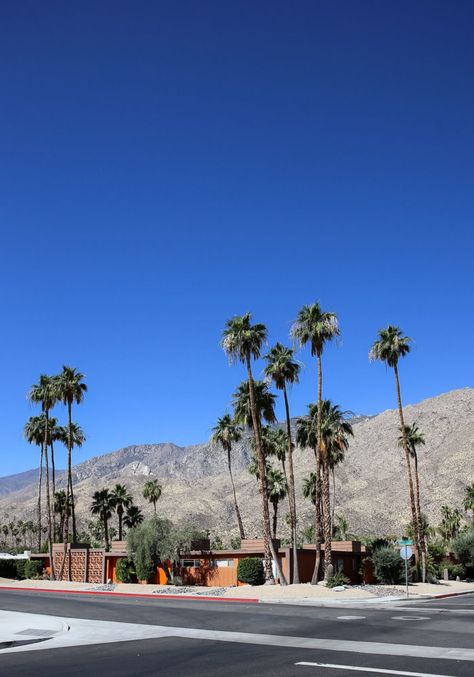 Travel Guide: Palm Springs, California Spring Picture Ideas, Cool Hotels, California Architecture, Usa Trip, Palm Spring, Australian Travel, California Desert, Palm Springs California, Coachella Valley