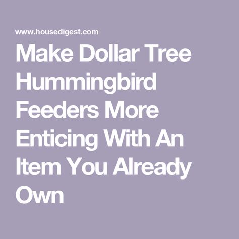 Make Dollar Tree Hummingbird Feeders More Enticing With An Item You Already Own Diy Hummingbird Feeder, Hummingbird Perch, Diy Swing, Hummingbird Plants, Hummingbird Feeder, Can Diy, Humming Bird Feeders, Plastic Flowers, Hummingbirds