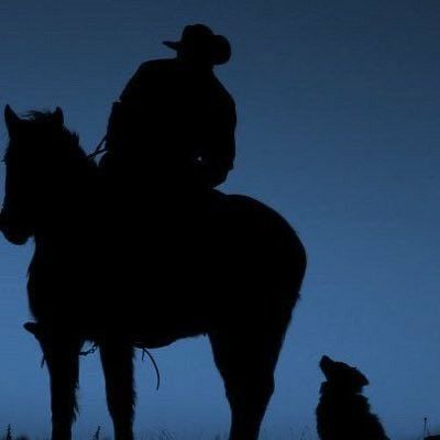 Cowboy Grunge Aesthetic, Dark Southern Gothic, Lone Cowboy Aesthetic, Alt Country, Lone Wolf Aesthetic, Blue Cowboy Aesthetic, Dark Cowboy Art, Western Emo Aesthetic, Gothic Cowboy Aesthetic