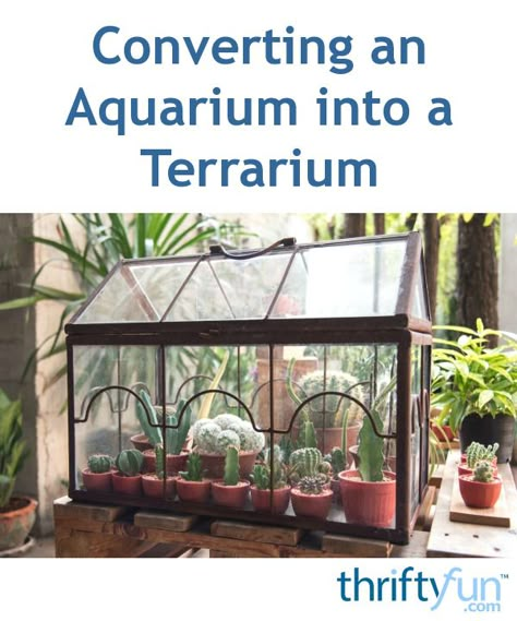 This guide is about converting an aquarium into a terrarium. When your fish tank is worn out or you do not need it anymore, recycle it into a controlled environment for plants or reptiles. Outdoor Fish Tank, Cactus Terrarium, Fish Tank Terrarium, Diy Fish Tank, Minimalist Garden, Mini Greenhouse, Garden Terrarium, Terrarium Diy, Terrarium Plants