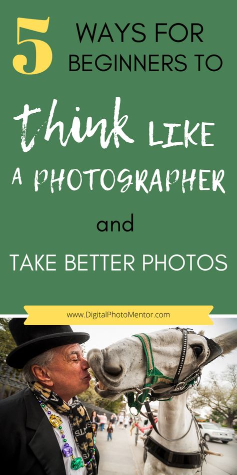 How To Be A Good Photographer, How To Be A Better Photographer, How To Be A Photographer, Photographer Beginner, Beginner Photography Tips, Starting Photography, Photography Practice, Beginner Photography Camera, Bright Photography