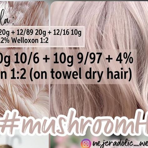 892 likes, 21 comments - nejcradolic_wellaeducationJune 28, 2022 on : "➡️Mushroom BLONDE ⬅️ Don’t forget to share🌏 Don’t forget to like ❤️ Don’t forget to comment 💭 #mushroomhair #mu..." Mushroom Blonde, Mushroom Hair, Towel Dry Hair, Hair Toner, Blonde Tones, Hair Colorist, Modern Salon, Shiny Hair, Artist On Instagram