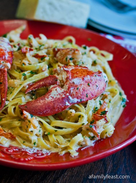 Lobster Sambuca Over Fettuccini - The flavor of Sambuca in this creamy sauce is amazing with lobster! Sambuca Recipes, Lobster Recipes, Family Feast, Perfect Pasta, Fish Dishes, Parmesan Cheese, Seafood Dishes, Fish And Seafood, Main Meals