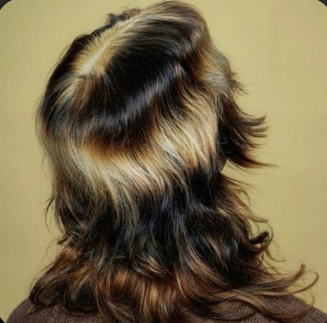 Simple Hair Color Ideas Brown, Cool Hair Bleach Ideas, Neutral Hair Dye Ideas, Black Hair With Bleached Ends, Tiger Hair Color, Shineline Hair, Trending Hair 2024, Long Hair Dye Ideas, Brown Hair With Colored Tips