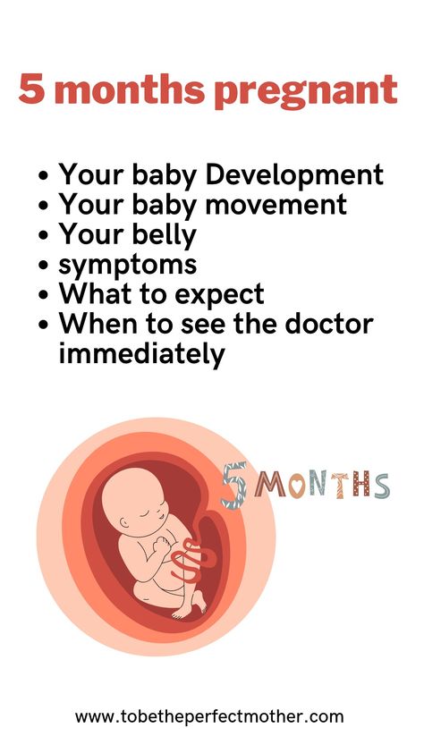 5 months pregnant baby Development and what to expect 5months Pregnant Belly, Four Months Pregnant Belly, 5 Month Pregnant, 5 Month Pregnant Belly, 5th Month Of Pregnancy, 4 Months Pregnant Belly, Pregnancy Development, Baby Development Chart, Third Month Of Pregnancy