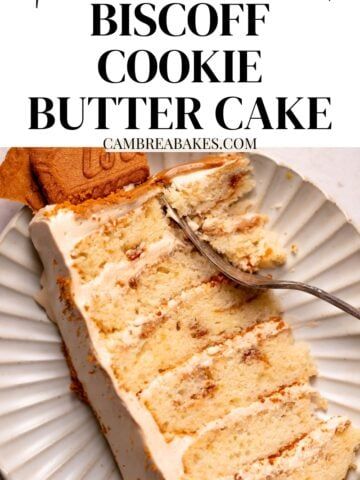 Biscoff Cookie Butter Cake, Cookie Butter Cake Recipes, Biscoff Cookie Butter Recipes, Cookie Butter Cake, Cambrea Bakes, Biscoff Buttercream, Butter Cake Cookies, Biscoff Cake, Swiss Rolls