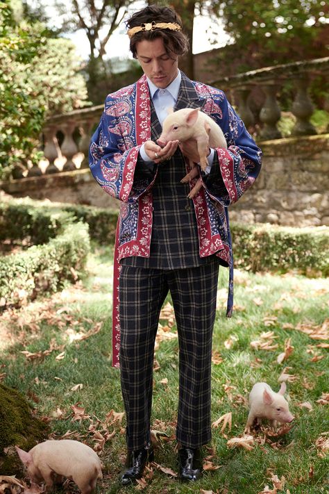 Man Lunch, Glen Luchford, Gucci Campaign, Harry Styles Gucci, Harry Styles Photoshoot, Harry Styles Gif, Harry Styles Outfit, Harry Styles Hot, Harry Styles Funny