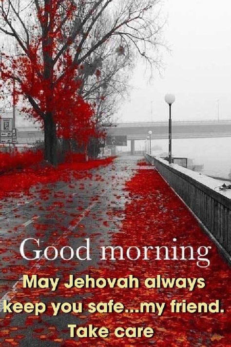 Jw Encouragement Quotes, Spiritual Words Of Encouragement, Great Day Quotes, Bible Thoughts, Spiritual Family, Psalm 83, Jw Bible, Jehovah Quotes, Good Morning Wishes Gif