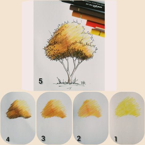 Trees In Colored Pencil, Drawing Trees With Colored Pencils, Drawing Backgrounds Color Pencil, Tree Drawings Pencil Color, Trees Colored Pencil, How To Draw Trees Colored Pencil, Tree Drawing Pencil Colour, Coloring Trees With Colored Pencils, Color Pencil Tree Drawing