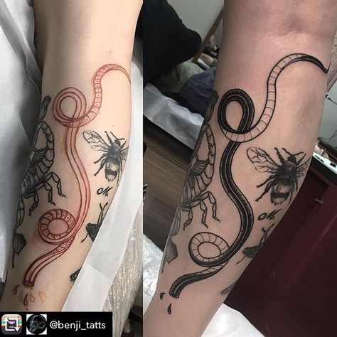 Repost from @benji_tatts using @RepostRegramApp - Freehand gap filler headless snake for MinXi! Misstwicthy  -  #snake #snaketattoo #gapfiller # headlesssnake #tattoo #btattooing #flashtattoo #tattooflash #sketches #onlyblackart #blacktattoo #blacktattooing #blackworkerssubmission #tttism #inkstinctsubmission #blackwork #malaysiatattoo Headless Snake Tattoo, Snake Gap Filler Tattoo, Snake Filler Tattoo, Gap Filler Tattoo, Filler Tattoo, Tattoo Filler, B Tattoo, Snake Tattoo, Tattoo Inspo