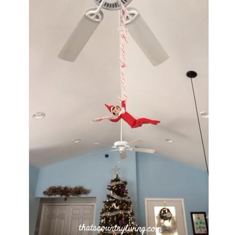 Elf on the Shelf hangs on a candy cane chain! Elf On The Shelf Ideas Hanging From Fan, Elf On Ceiling Fan, Elf Hanging From Candy Canes, Elf On The Shelf Ceiling Fan Ideas, Elf On The Shelf Hanging From Fan, Elf Hanging From Ceiling Fan, Elf On The Shelf Ceiling Fan, Elf Pictures, Christmas Elf Ideas