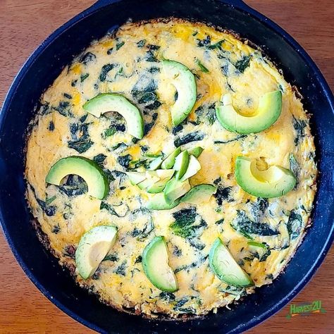 Shrimp Frittata Recipes, Shrimp Frittata, Broccoli Frittata, Shrimp Spinach, Frittata Muffins, Mushroom Frittata, Healthy Yummy Recipes, Shrimp And Eggs, Breakfast Favorites