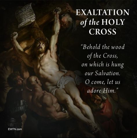 Today is the Feast of the Exaltation of the Holy Cross. O come, let us adore! For a free eBook, "In the Footsteps of Jesus" click link. #Catholic #Faith #Prayer Exaltation Of The Holy Cross, St Joseph Of Cupertino, St John Vianney, Jesus Sacrifice, Saint Quotes Catholic, Resurrection Sunday, Stations Of The Cross, My First Year, Saint Quotes