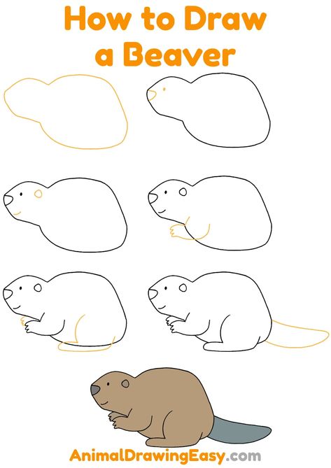 How to Draw a Beaver Step by Step #Beaver #BeaverDrawing #BeaverEasyDrawing #DrawingforKids #DrawingGuides #EasyDrawingGuides #HowtoDrawaBeaverSimple #BeaverDraw #DrawaBeaver #SimpleDrawings #StepbyStepBeaverDrawing Beaver Crafts Preschool, Beaver Crafts For Kids, How To Draw A Beaver, How To Draw A Flying Squirrel, Beaver Craft, How To Draw A Beaver Step By Step, Cute Beaver Drawing, Beaver Doodle, Beaver Line Drawing