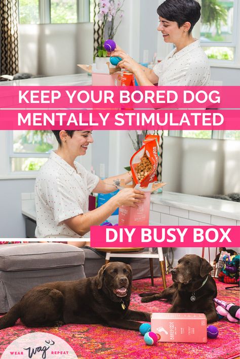 DIY Busy Box Enrichment Toy for Your Bored Dog - Wear Wag Repeat Dog Busy Toys, Homemade Puzzle, Enrichment Dog, Dog Mom Quotes, Dogs Diy Projects, Bored Dog, Diy Dog Toys, Dog Enrichment, Busy Boxes