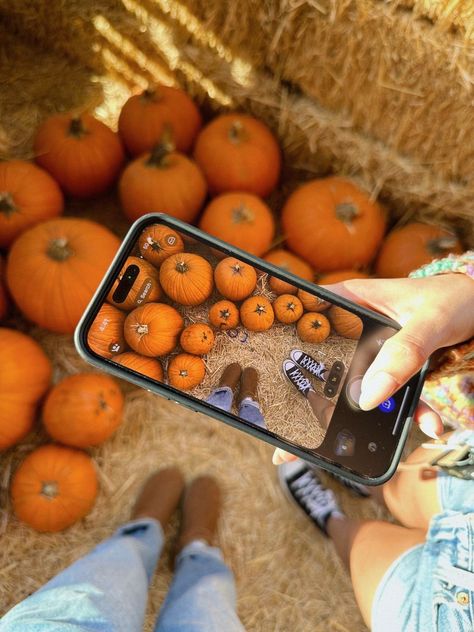 Fall Boards, Fall Mood Board, Pumpkin Spice Season, Fall Inspo, Fall Photoshoot, Fall Feels, Fall Is Here, Fall Baby, Fall Pictures