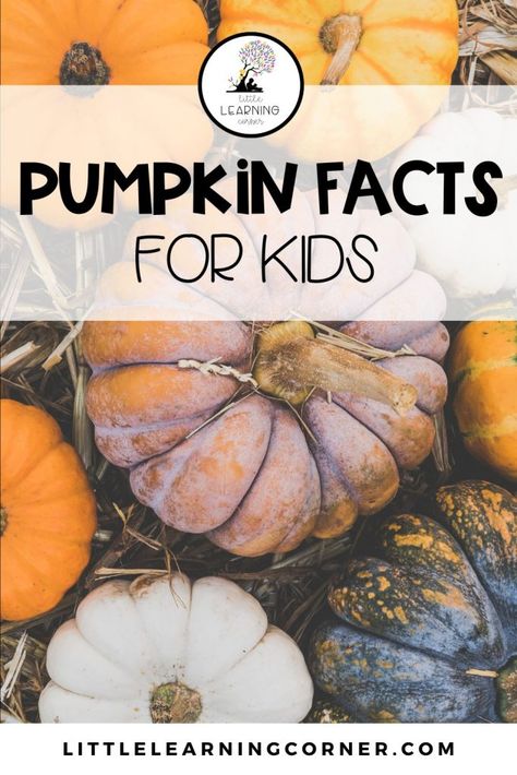 Kindergarten Autumn, Pumpkin Facts, Life Cycle Of A Pumpkin, Autumn Themed Activities, March Math, Concepts Of Print, Learning Corner, Fall Family Fun, Fun Facts For Kids