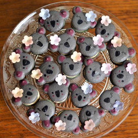 Koala Macarons, Koala Cake Birthday Kids, Koala Cakes, Koala Cupcakes, Koala Cake, Koala Party, Koala Birthday, Kendall Birthday, 11th Birthday