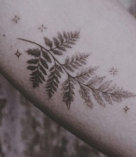 Butterfly Fern Tattoo, Witchy Collar Bone Tattoo, Fern Collar Bone Tattoo, Fern Leaf Tattoo, Tattoo Fern, Pearl Tattoo, Clavicle Tattoo, Sparkle Tattoo, Fern Tattoo