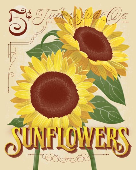 Sunflower Seed Packet Sunflower Seed Packets, Spencerian Script, Vintage Seed Packet, Free Fall Printables, Vintage Seed Packets, Vintage Banner, Garden Decor Projects, Sign Painting, Fall Printables