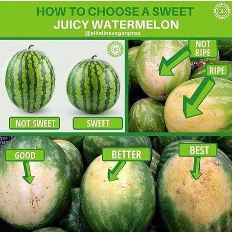 Watermelon Ripeness, Watermelon Growing, Watermelon Hacks, Growing Melons, Seedless Watermelon, Best Watermelon, Watermelon Nutrition Facts, Amazing Food Hacks, Juicy Watermelon