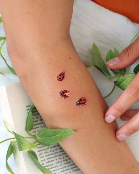 OVENLEE 🍃 ChaeheeLee on Instagram: "The Lucky Ladybugs🐞Thanks so much for taking my flash design,Kali 🤍 ! And if you wanna check out more adorable ladybugs, just flip to the next page. ⠀ ⠀ ⠀ ⠀ ⠀ #ladybugtattoo #microtattoo #🐞 #cottagecore #cottagecoretattoo #tattooideasforgirls #naturetattoo #insecttattoo" Ladybug Hand Tattoo, Cute Ladybug Tattoo, Ladybug Tattoo Dainty, Tiny Tattoos Ladybug, Dainty Ladybug Tattoo, Two Ladybugs Tattoo, Ladybug Tattoo, Little Lady Bug Tattoos, Ladybird Tattoo